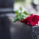 burial services brisbane FAQ